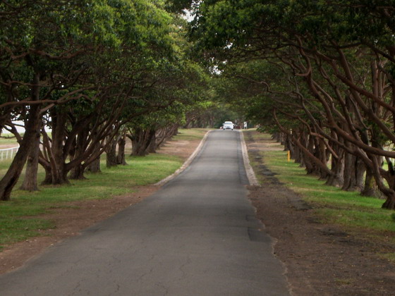 entrance drive